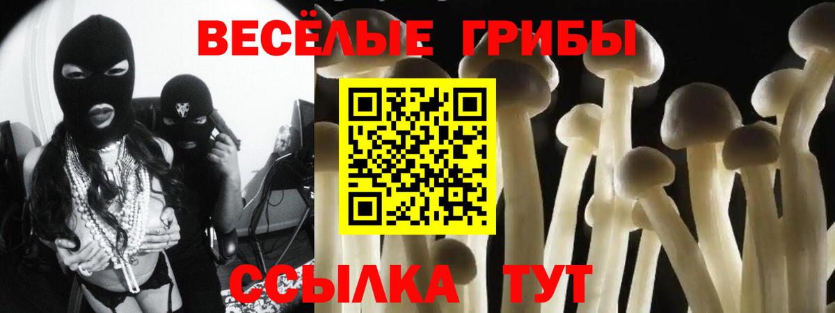 Галлюциногенные грибы Cubensis Томск